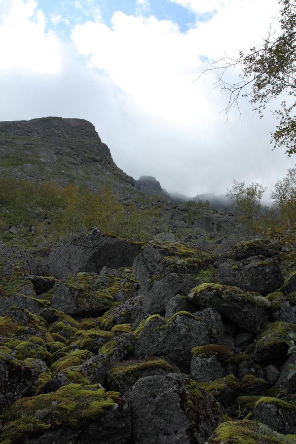 Подножье Тахтарвумчорра, image of landscape/habitat.