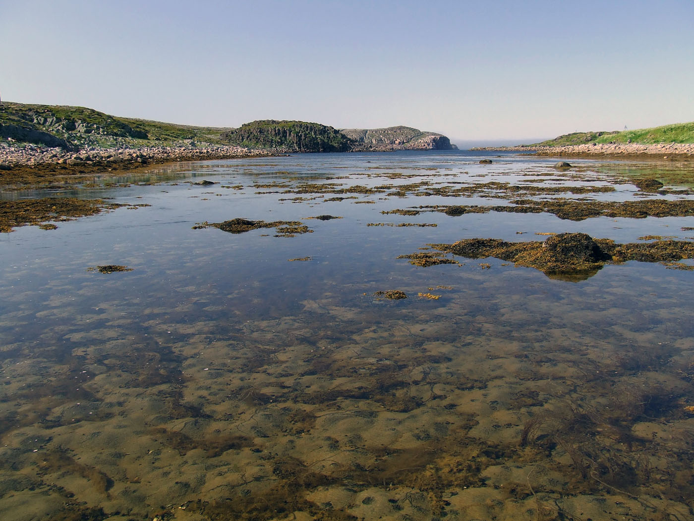 Шельпинская губа, image of landscape/habitat.