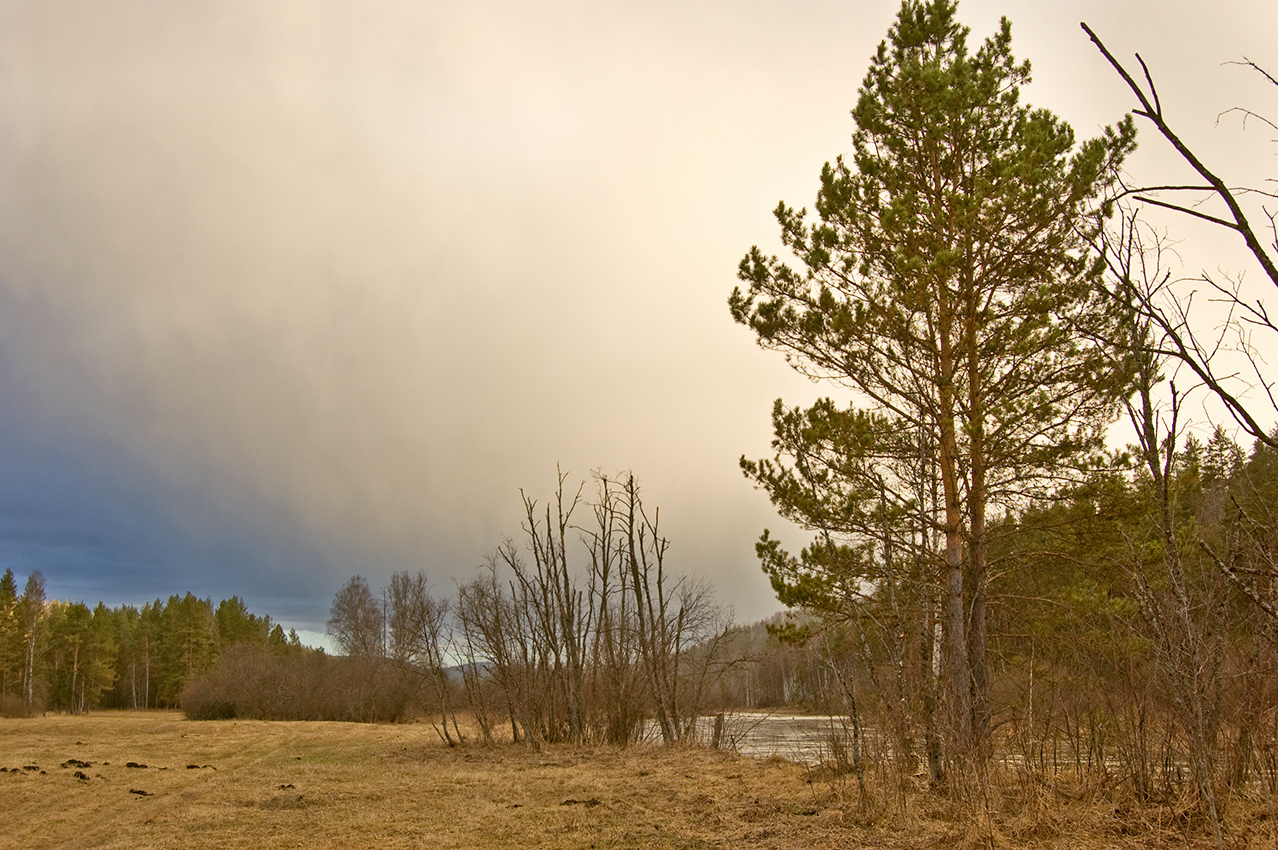 Окрестности деревни Карталы, image of landscape/habitat.