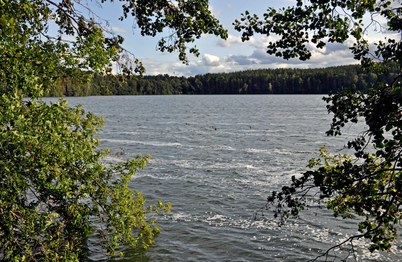 Озеро Теренкуль, изображение ландшафта.