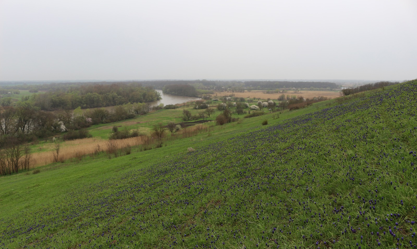 Усть-Лабинск - Двубратский, image of landscape/habitat.