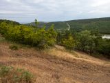 Image of landscape