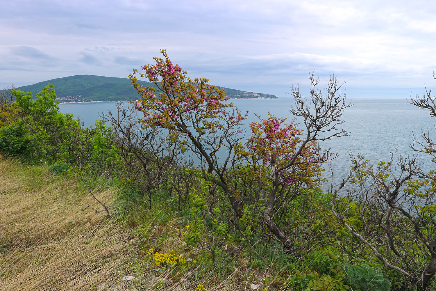 Берег моря у мыса Пенай, image of landscape/habitat.