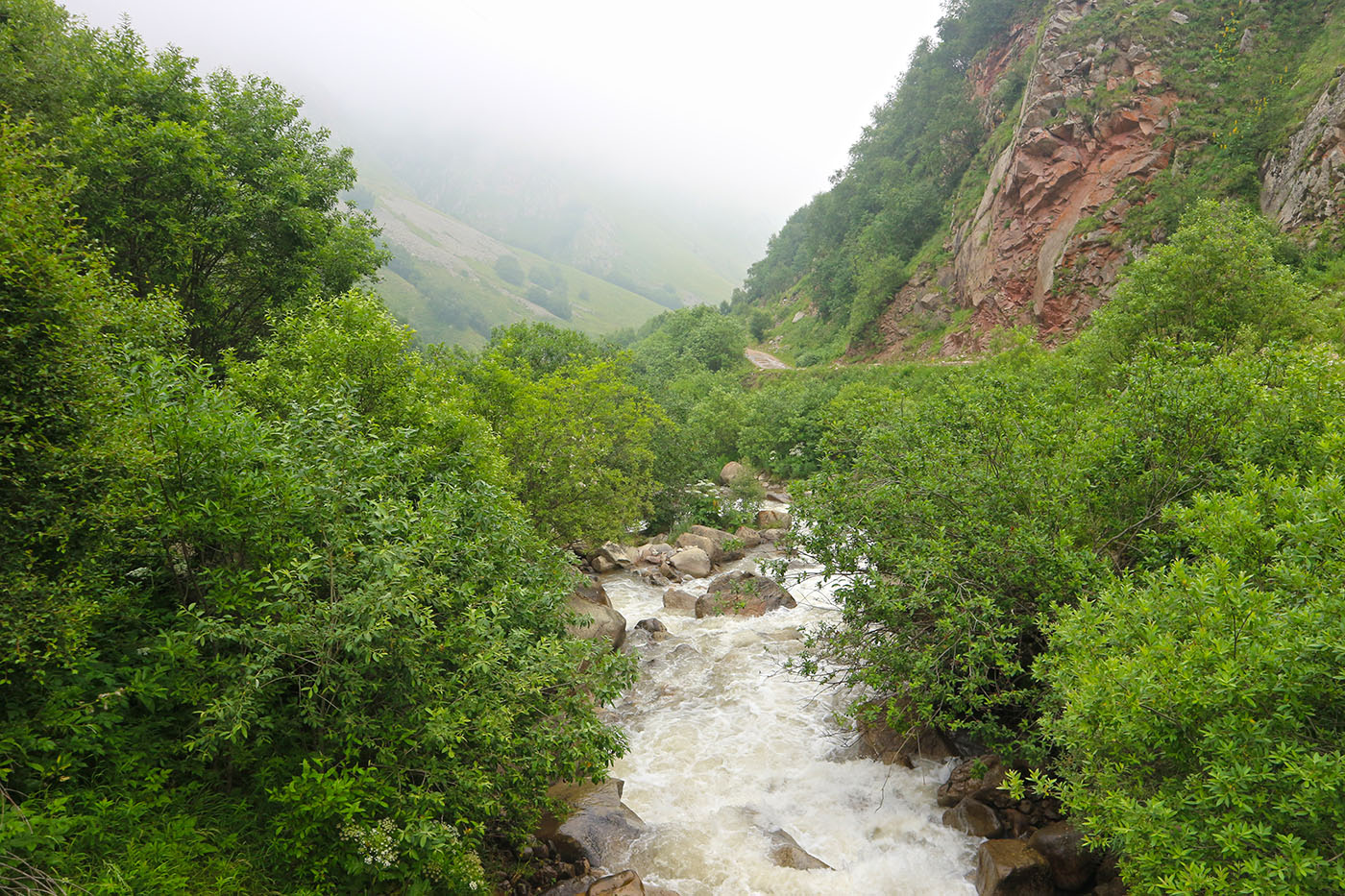Чайнашки, изображение ландшафта.