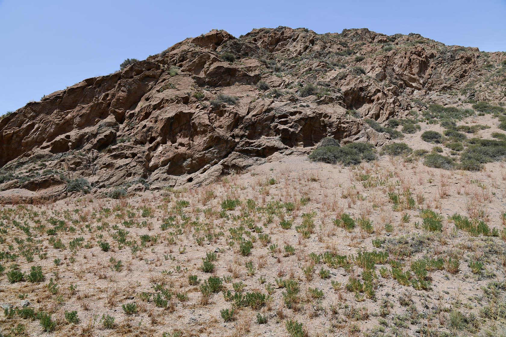 Чарын, image of landscape/habitat.