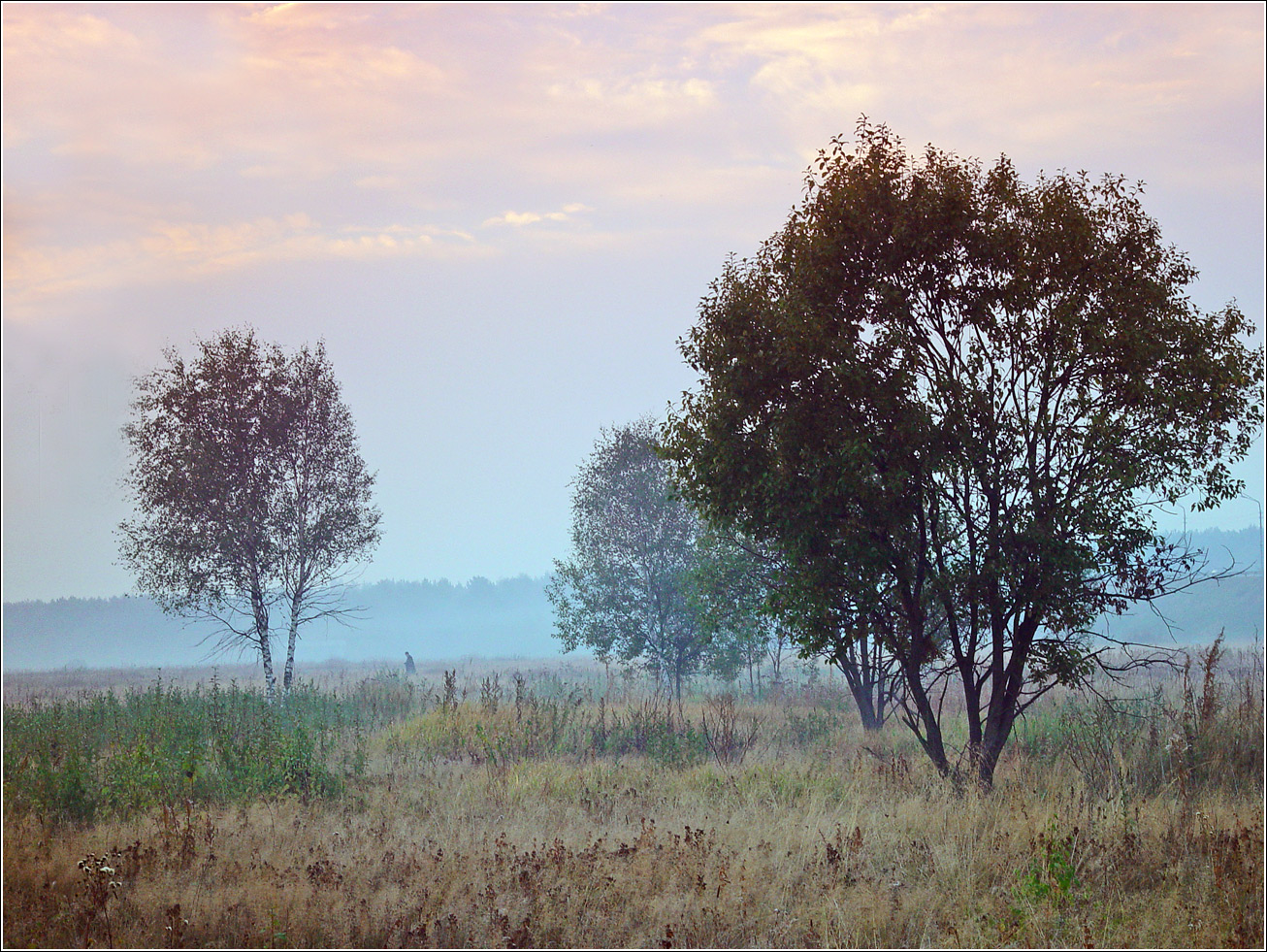 Окрестности Хрипани, image of landscape/habitat.