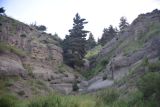 Image of landscape