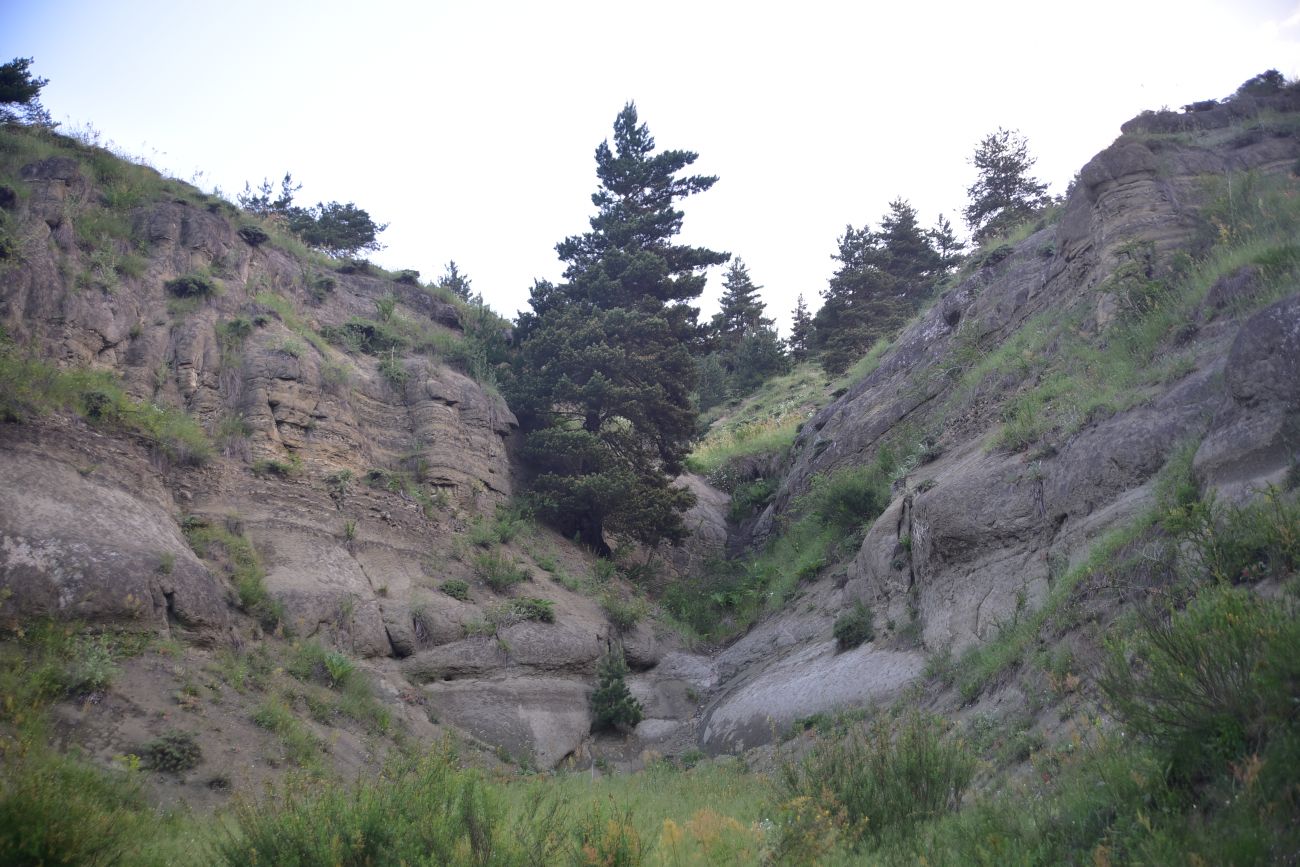 Цинубанская баня, image of landscape/habitat.