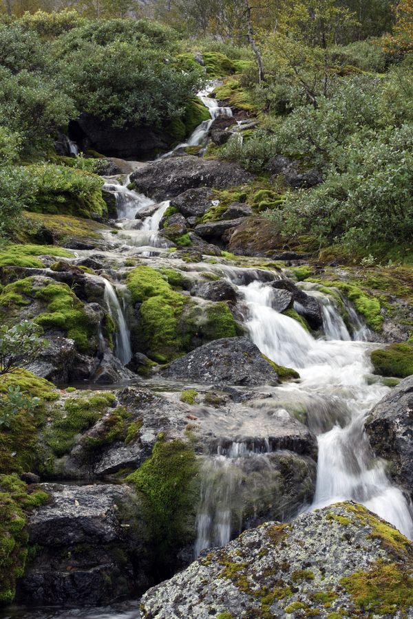 Подножье Тахтарвумчорра, image of landscape/habitat.