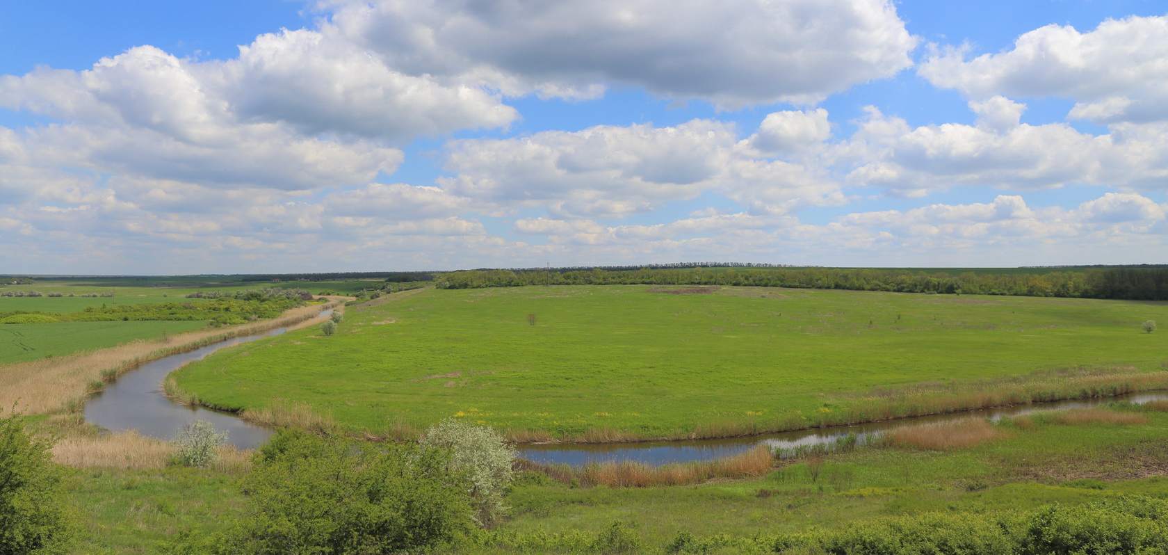 Долина реки М. Еланчик (Ф с/п), image of landscape/habitat.