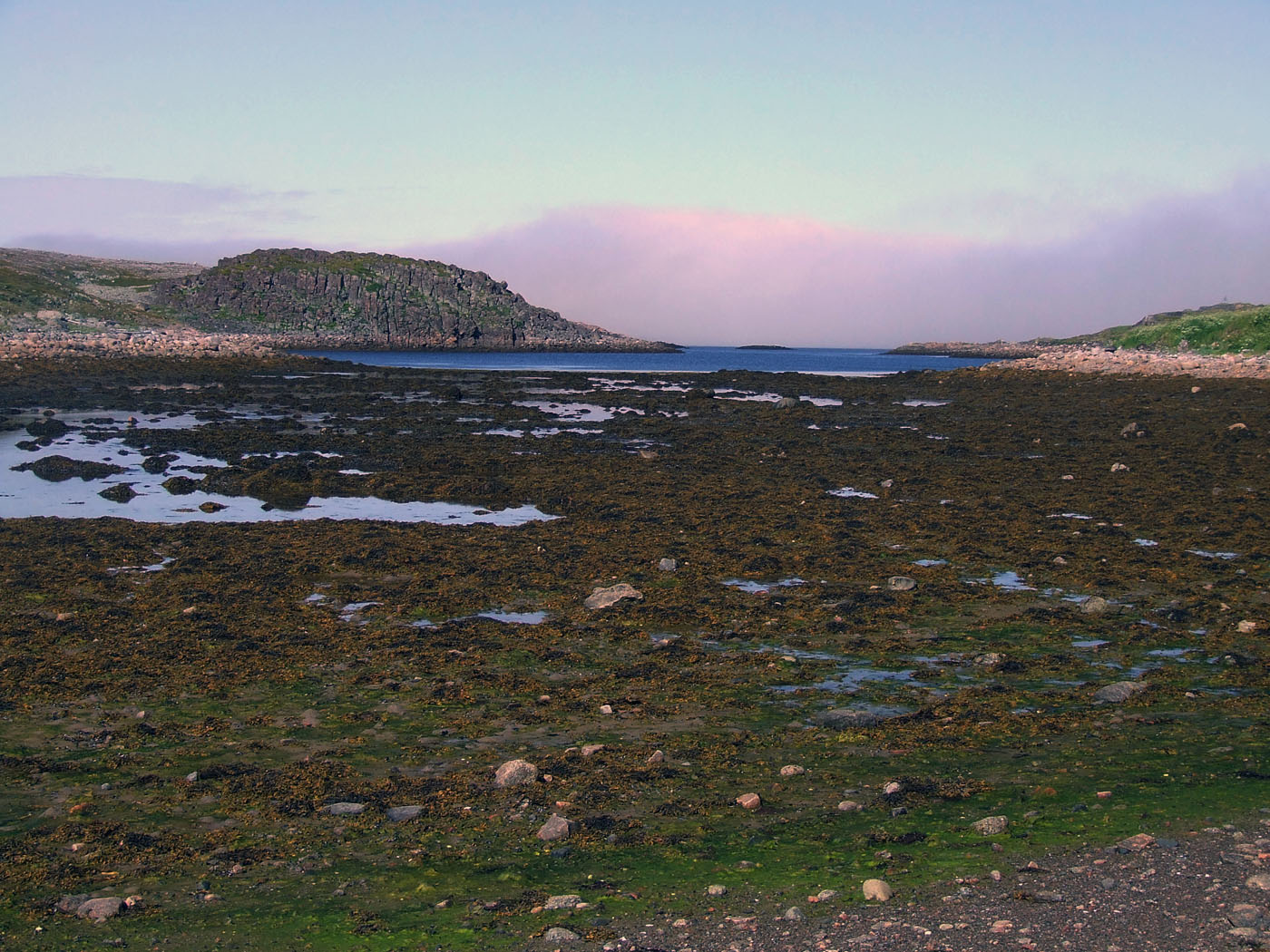 Шельпинская губа, image of landscape/habitat.