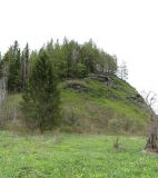 Image of landscape