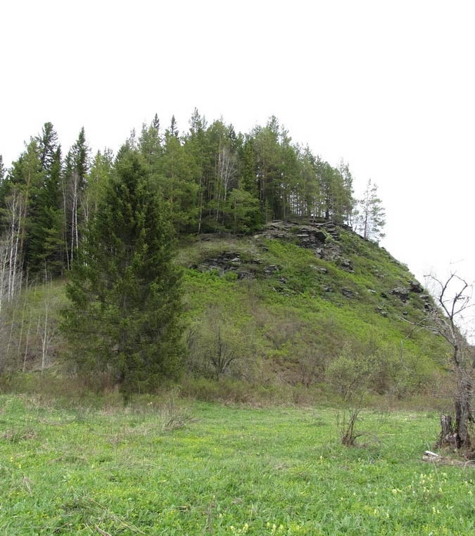 Петенёвские ельники, изображение ландшафта.