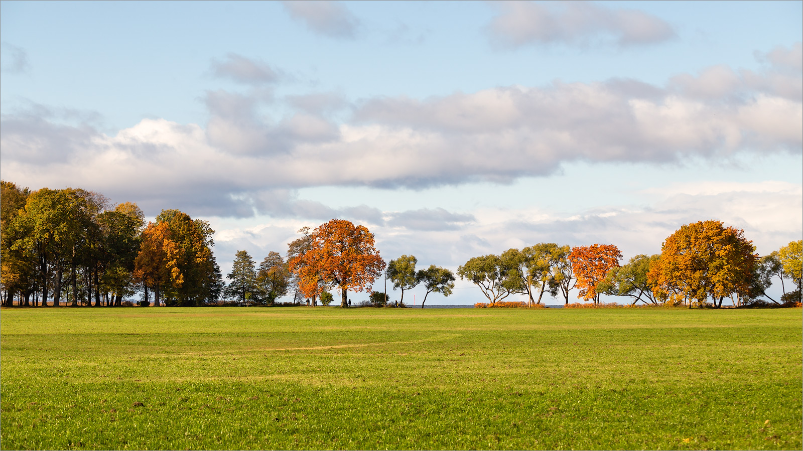 Парк "Александрия", image of landscape/habitat.