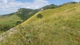 Image of landscape