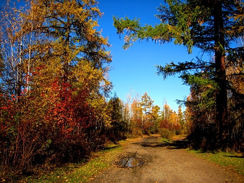 Кескил, image of landscape/habitat.