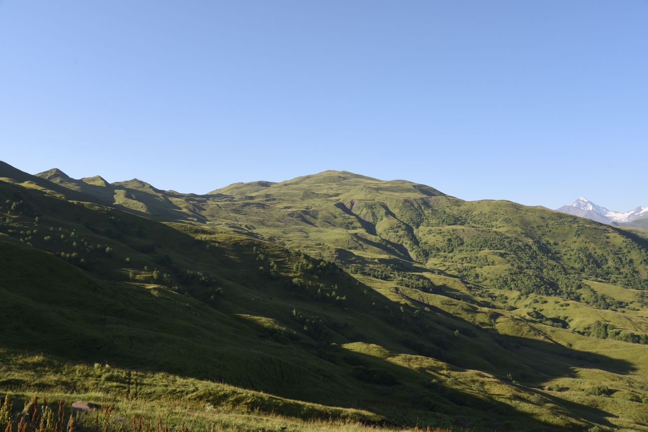 Окрестности горы Чархунышкорт, image of landscape/habitat.