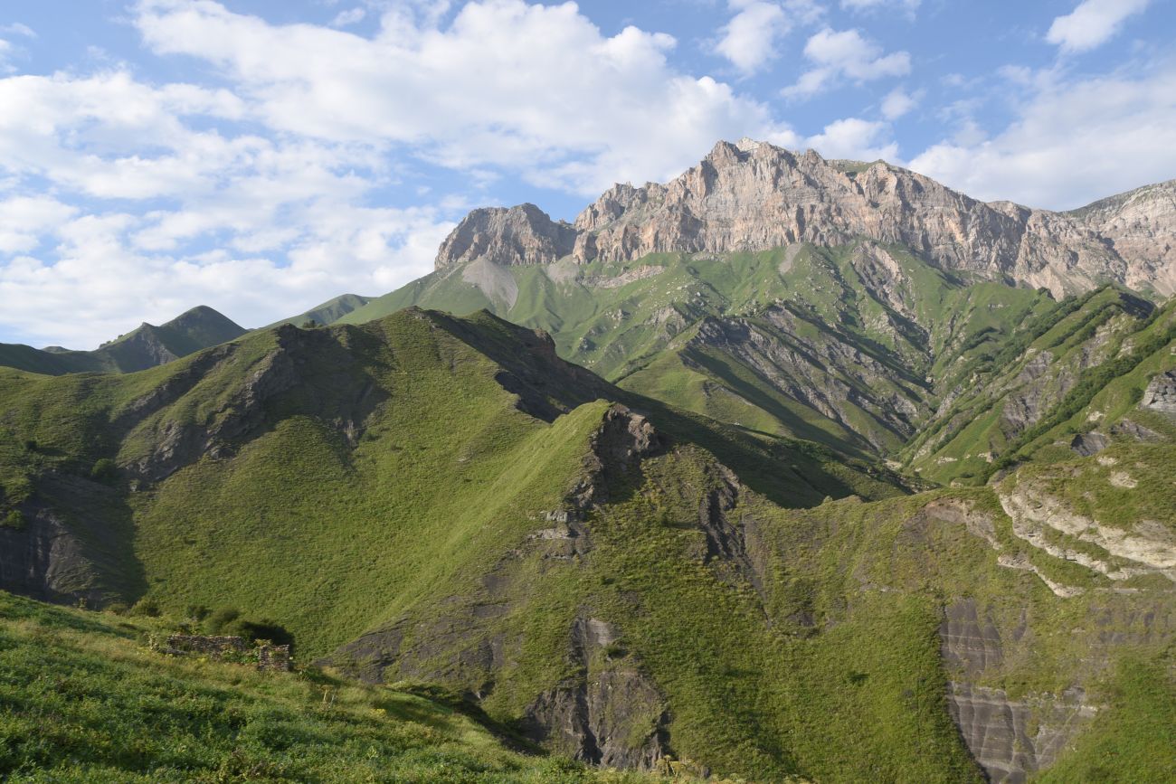Урочище Цеси, image of landscape/habitat.