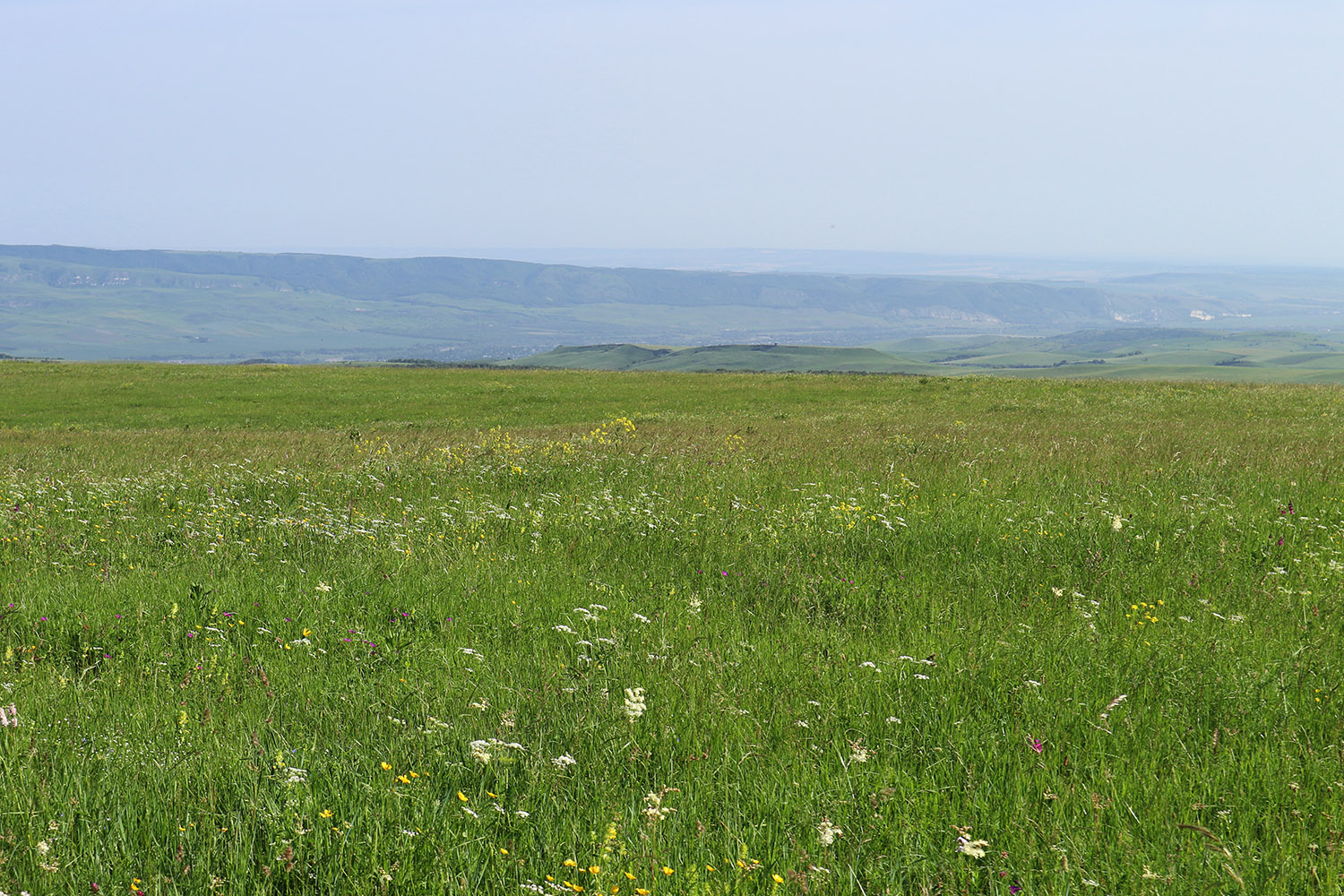 Джисса, image of landscape/habitat.