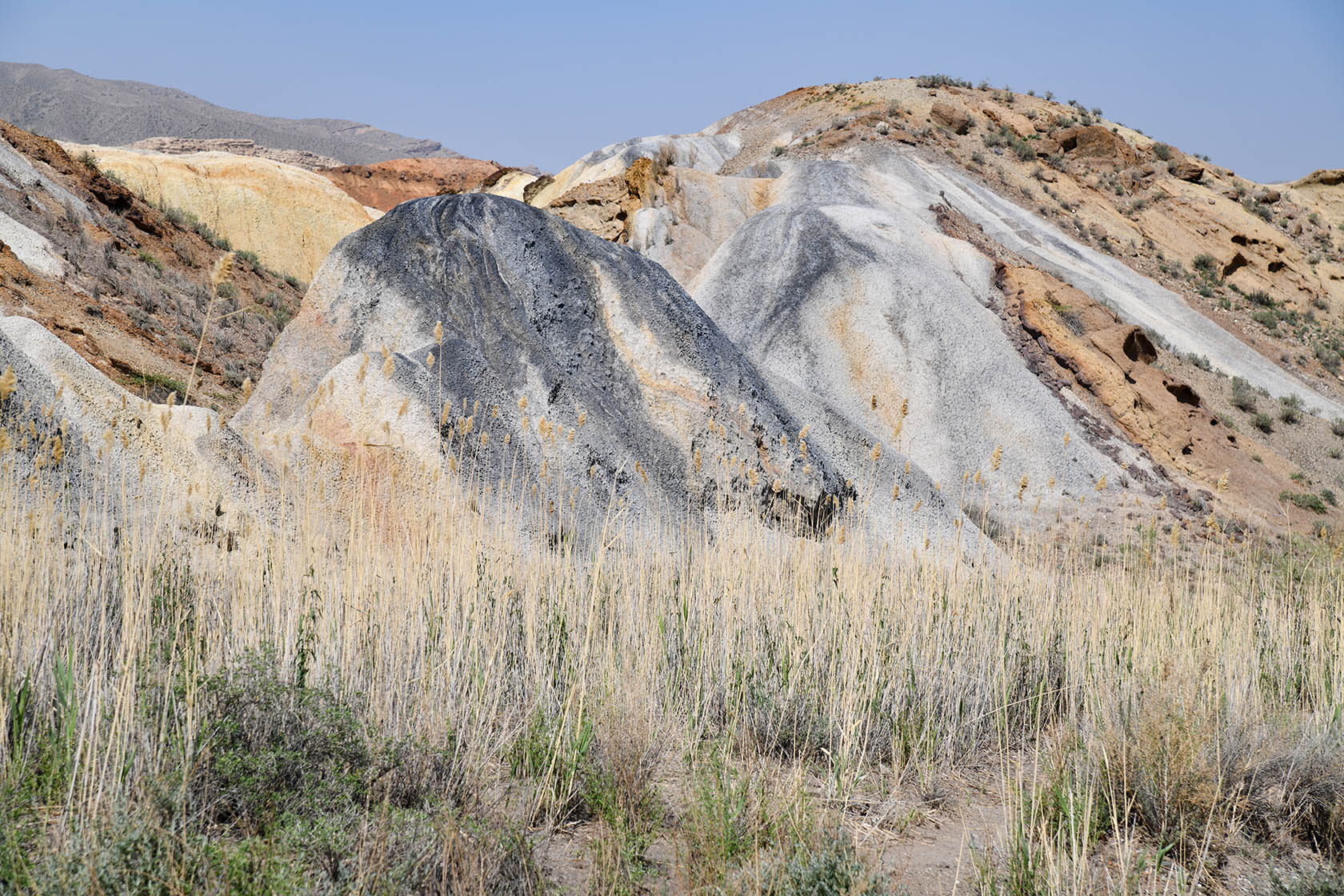 Мадыген, image of landscape/habitat.