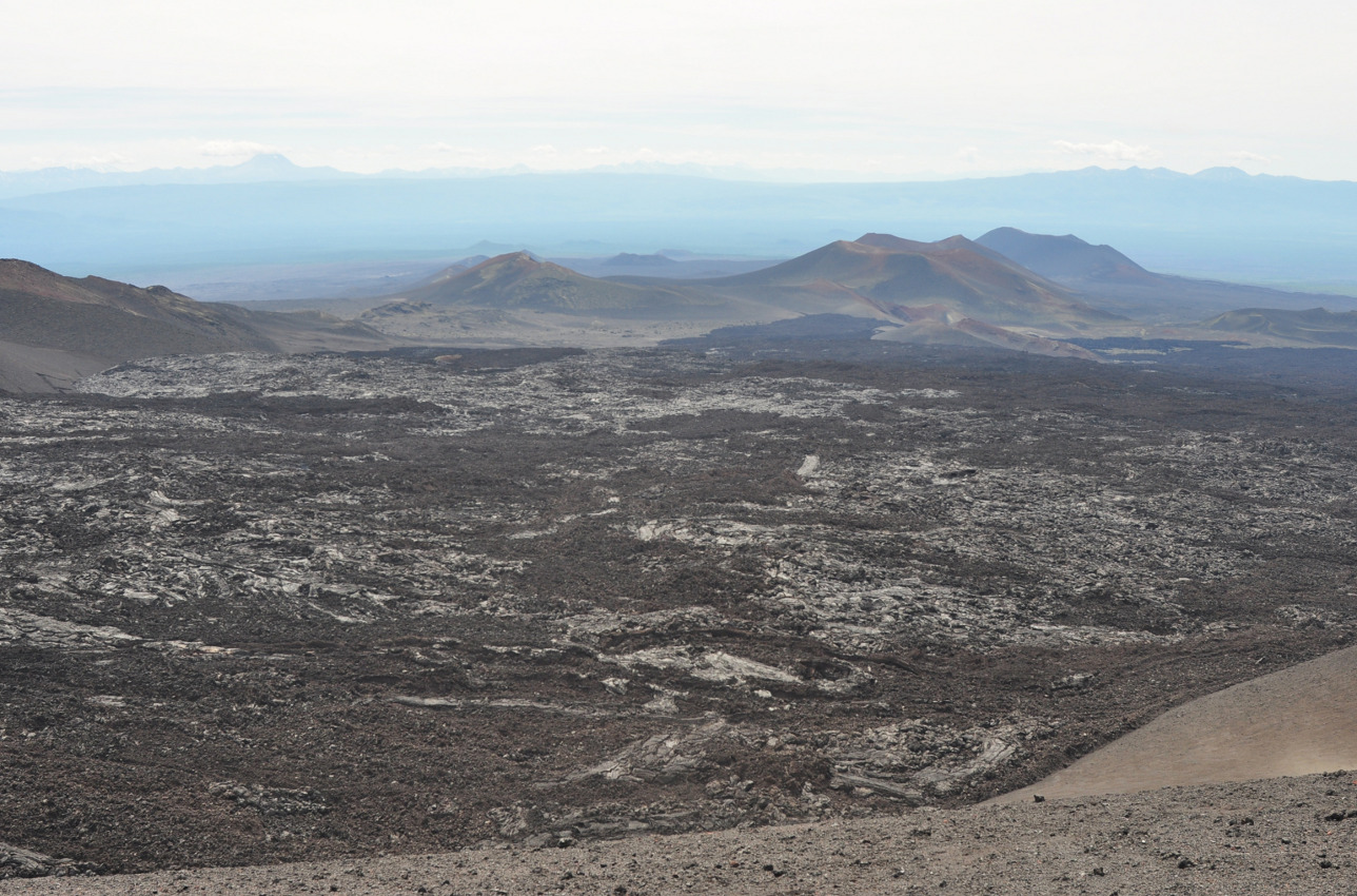 Толбачинский дол, image of landscape/habitat.
