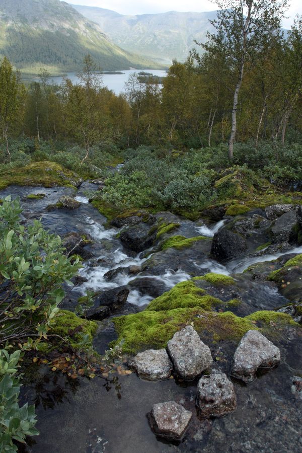 Подножье Тахтарвумчорра, image of landscape/habitat.