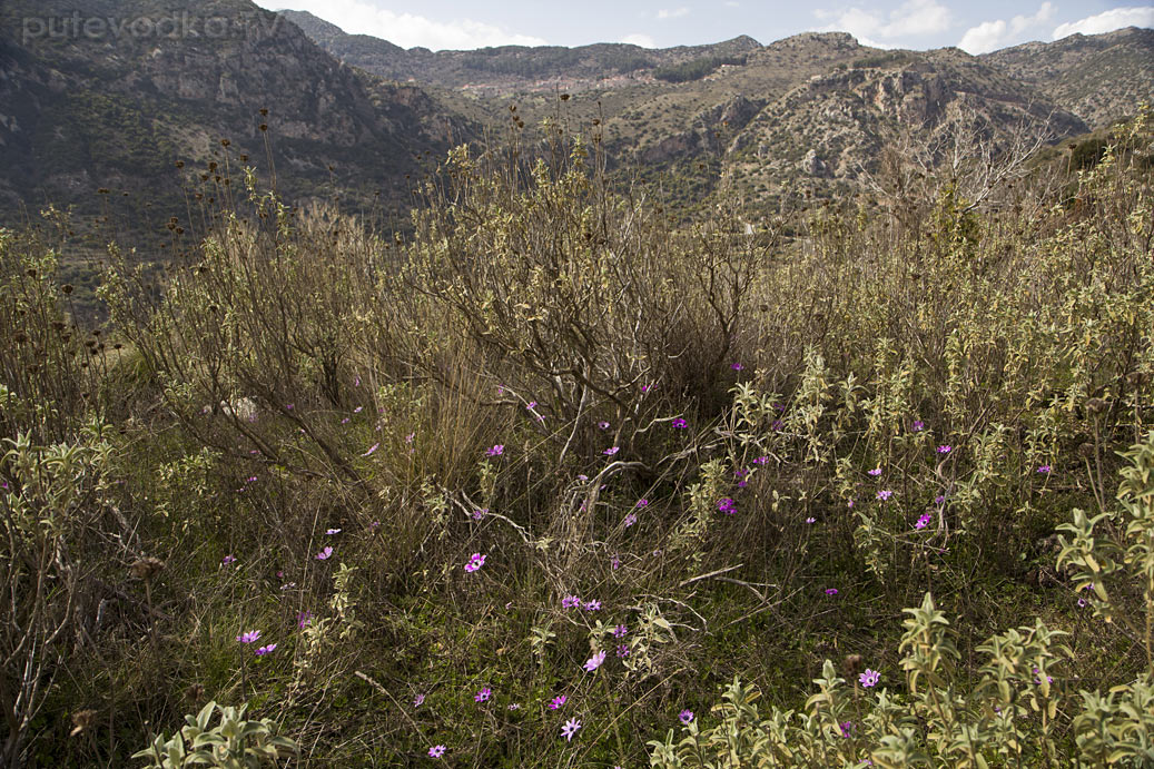 Витина и окрестности, image of landscape/habitat.