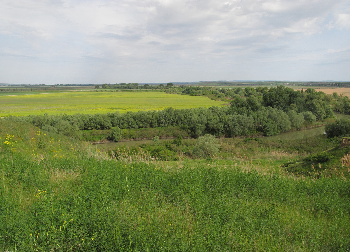 Дубовый Рынок, image of landscape/habitat.