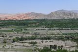 Исфара, image of landscape/habitat.