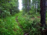 Landscape image