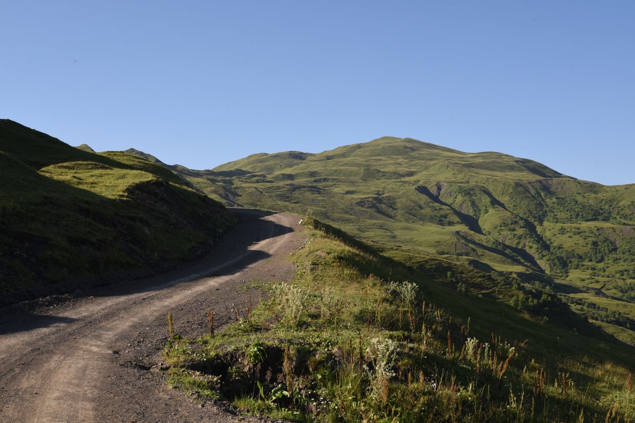 Окрестности горы Чархунышкорт, image of landscape/habitat.