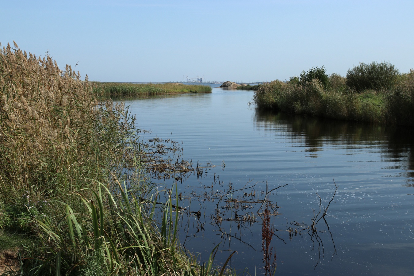 Большая Ижора, image of landscape/habitat.