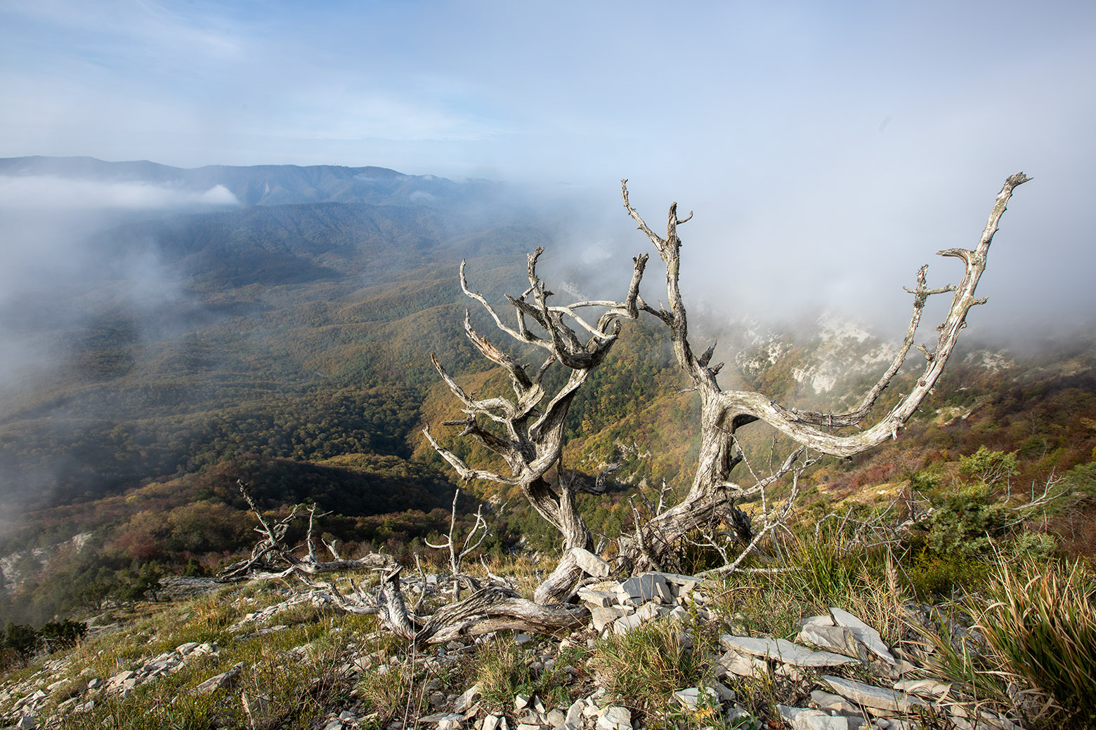 Папай, image of landscape/habitat.