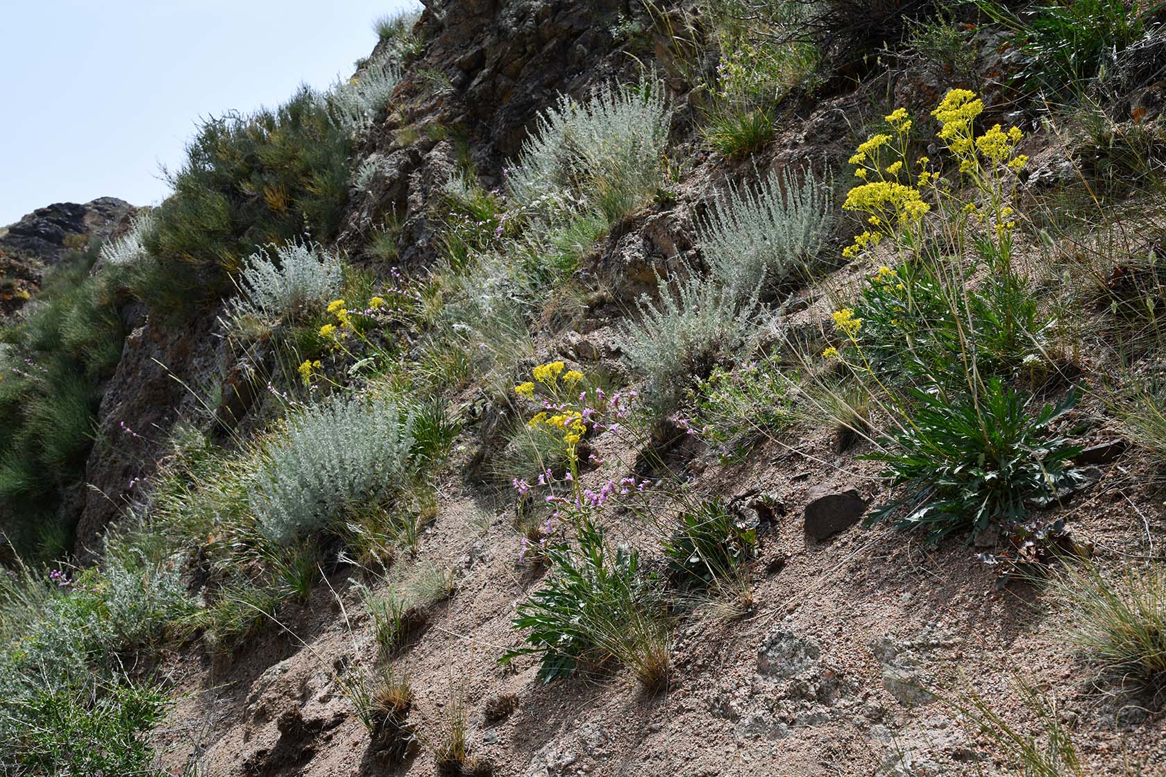 Чарын, image of landscape/habitat.