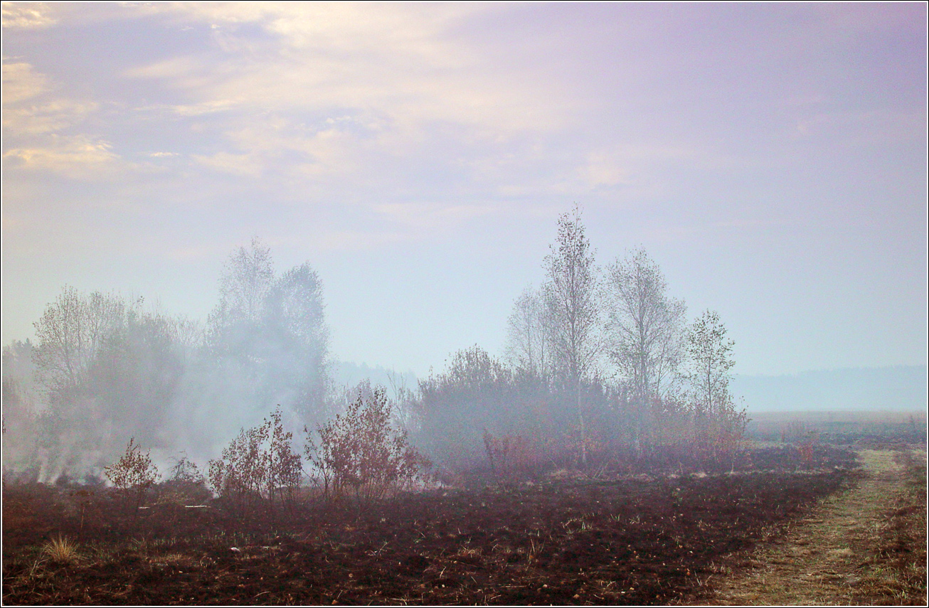 Окрестности Хрипани, image of landscape/habitat.