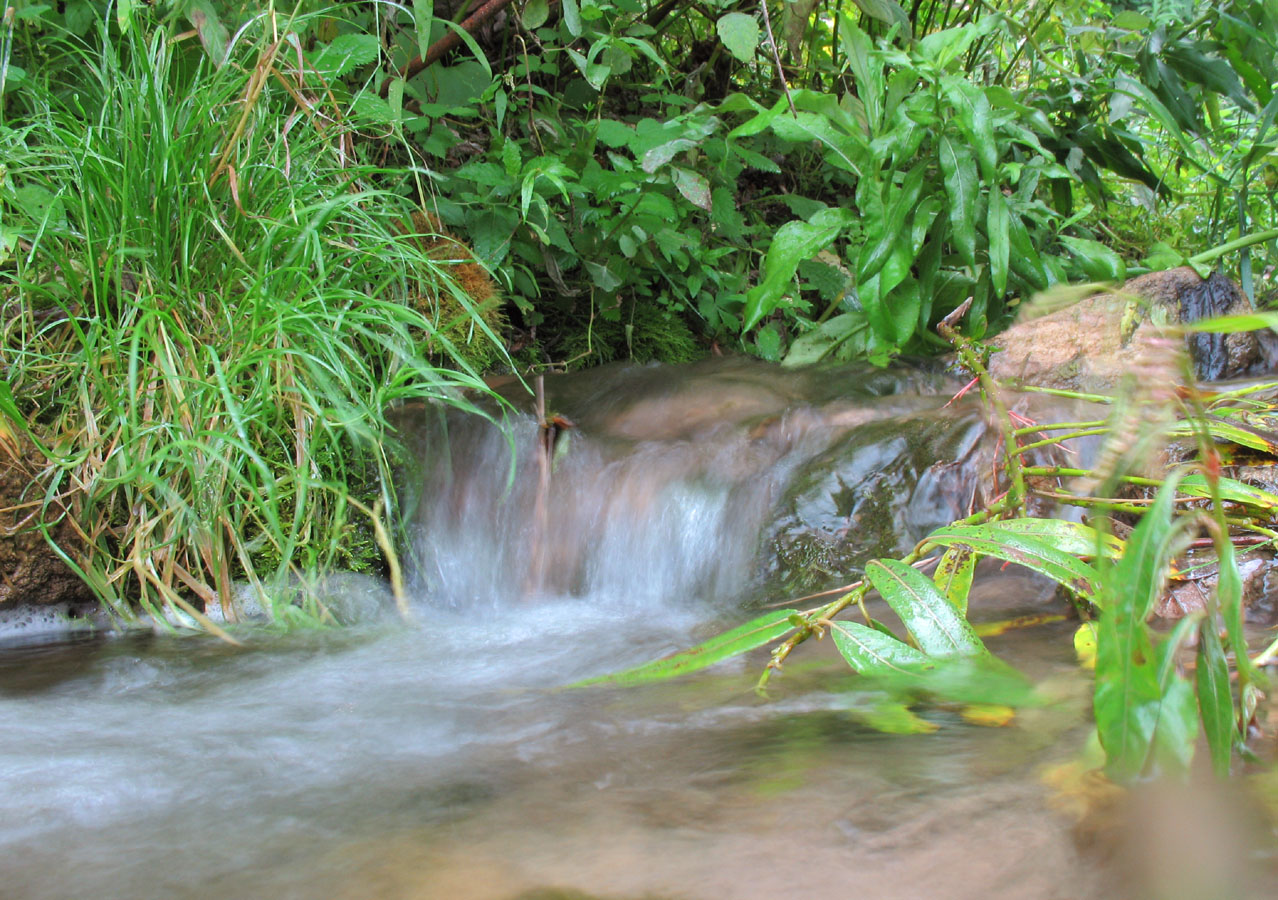 Река Белая, image of landscape/habitat.