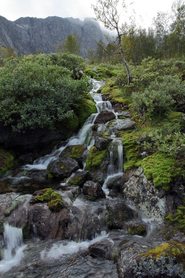 Подножье Тахтарвумчорра, image of landscape/habitat.