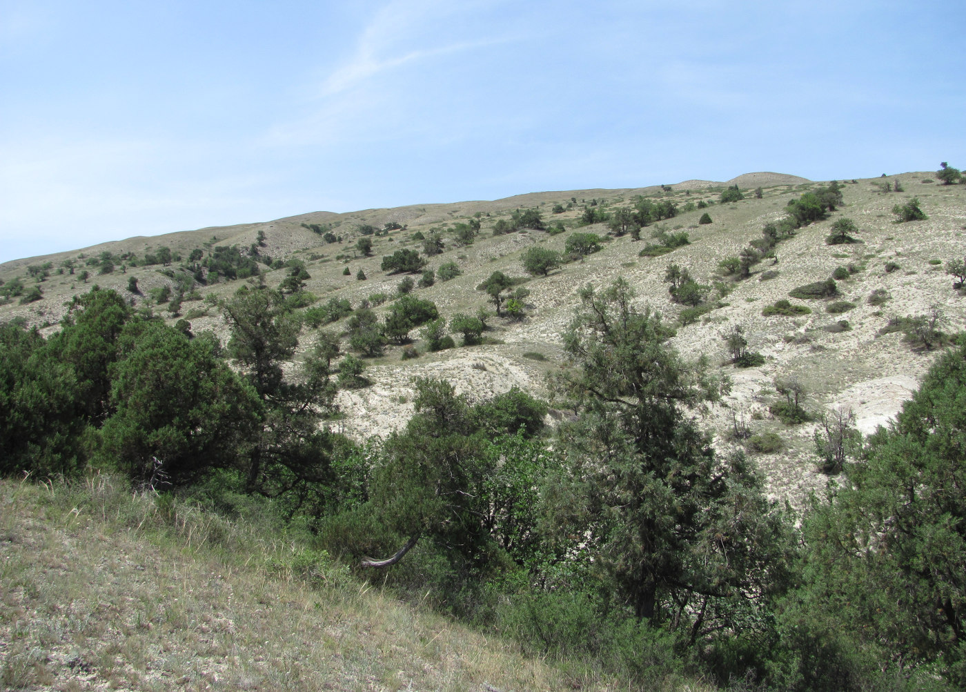 Талги, image of landscape/habitat.