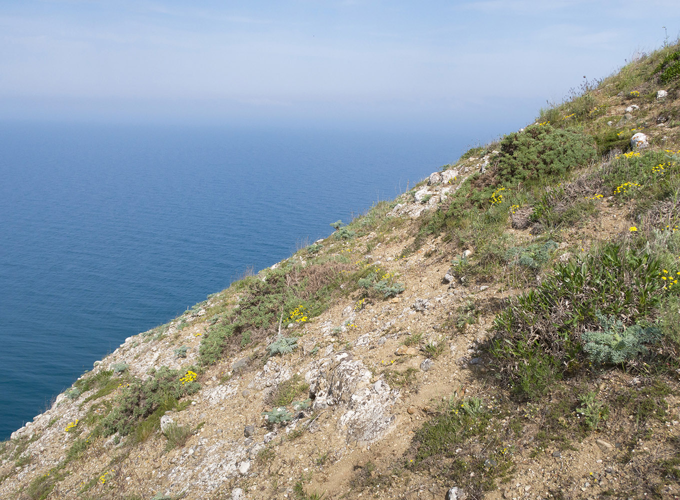 Гора Батон, image of landscape/habitat.
