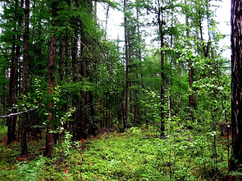 Кескил, image of landscape/habitat.