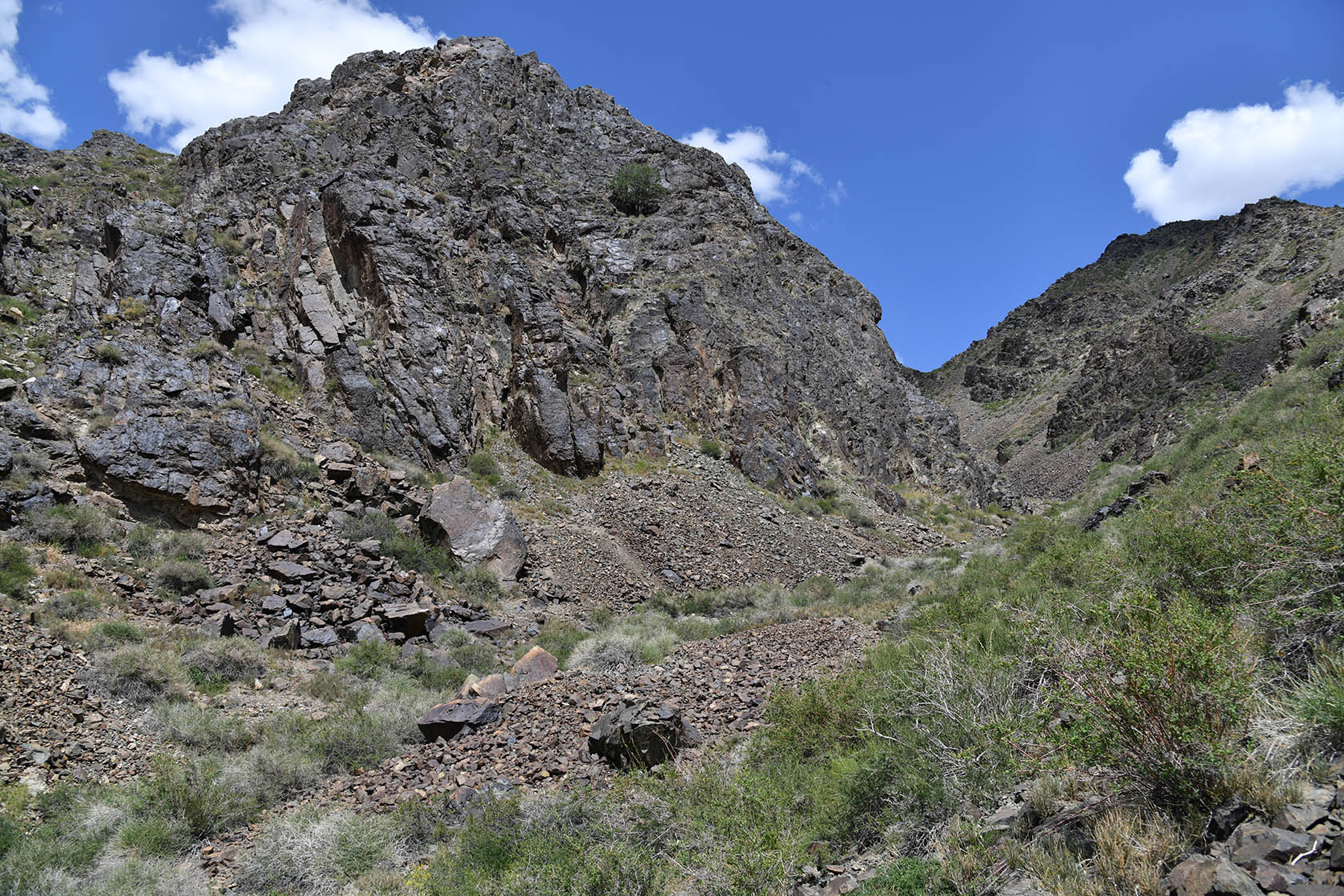 Шылбыр, image of landscape/habitat.