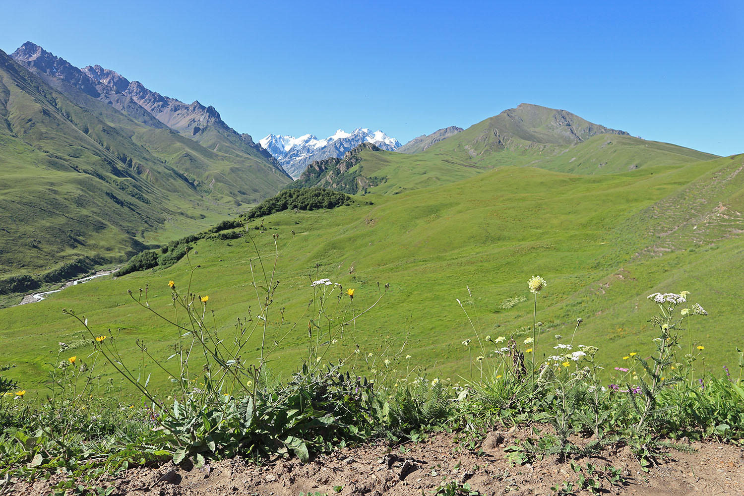 Перевал Северный Курноят, image of landscape/habitat.