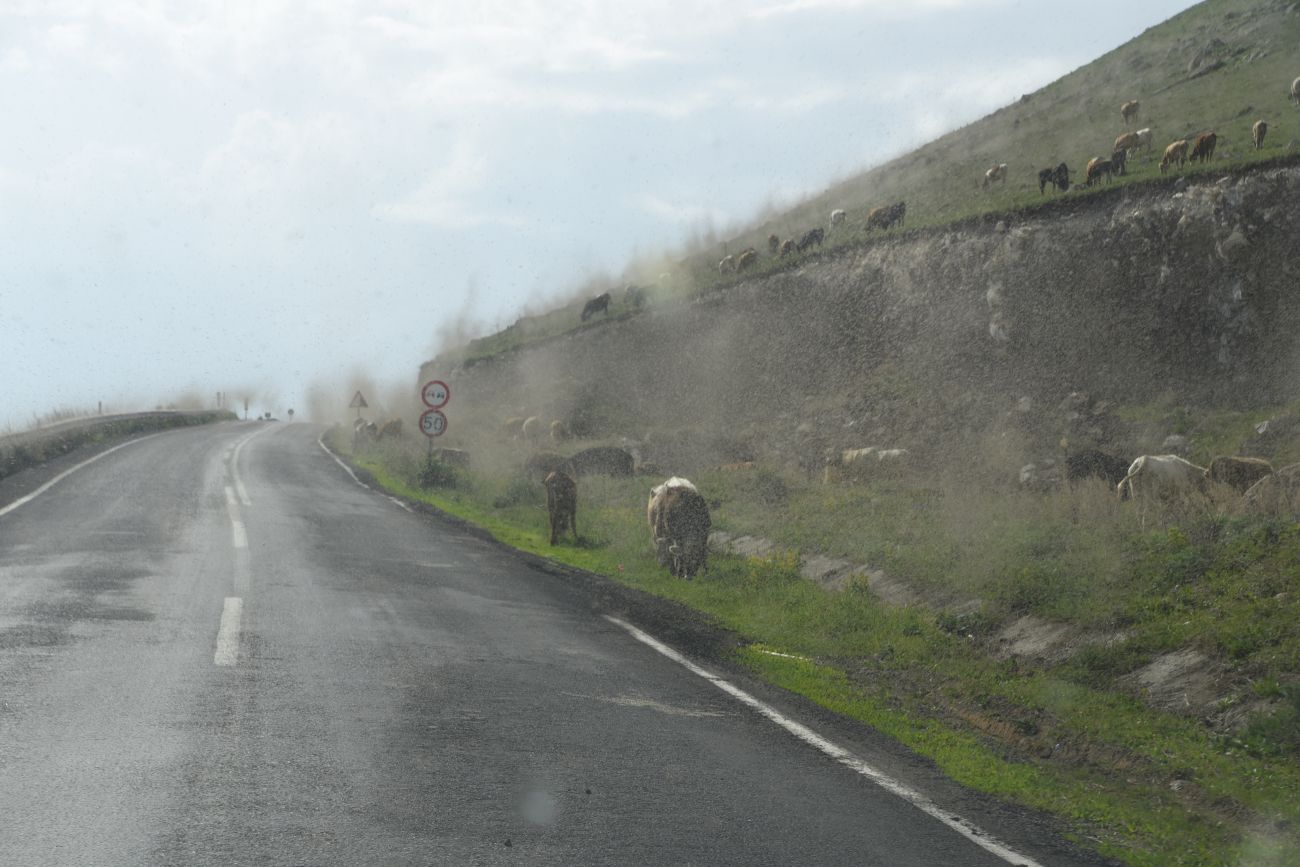 Озеро Чилдыр, image of landscape/habitat.