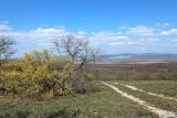 Станица Раевская и окрестности, изображение ландшафта.