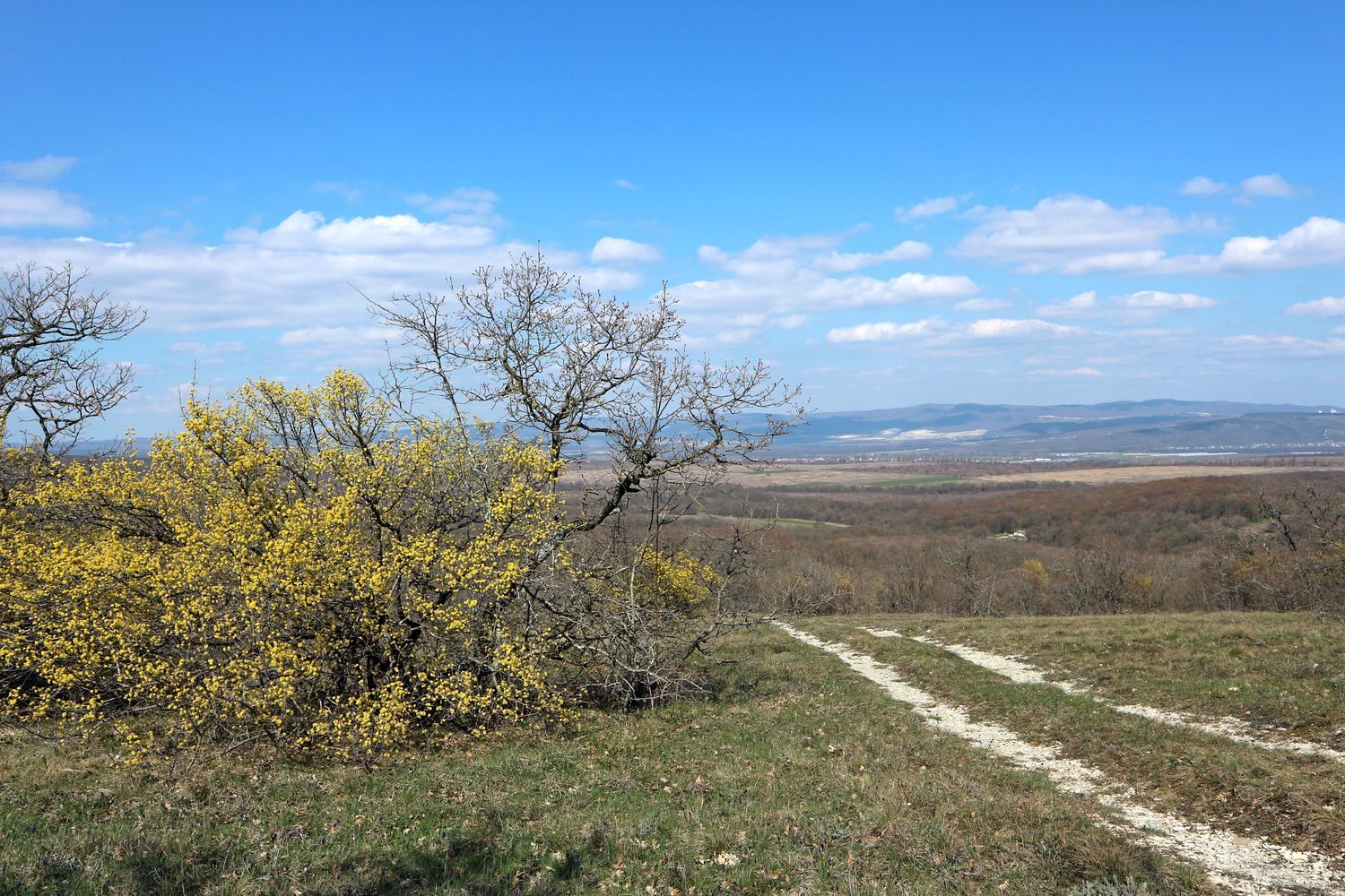 Станица Раевская и окрестности, изображение ландшафта.