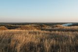 Image of landscape