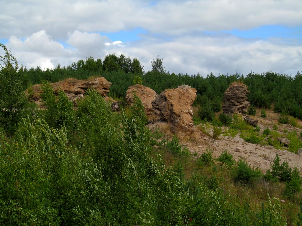 Карьер Примень, image of landscape/habitat.