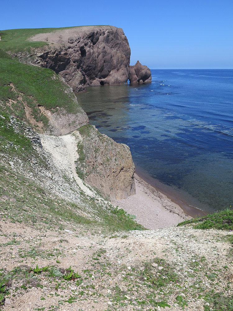 Окрестности бухты Зеркальной, image of landscape/habitat.