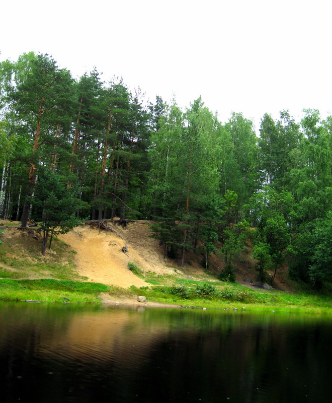 Токсово, image of landscape/habitat.