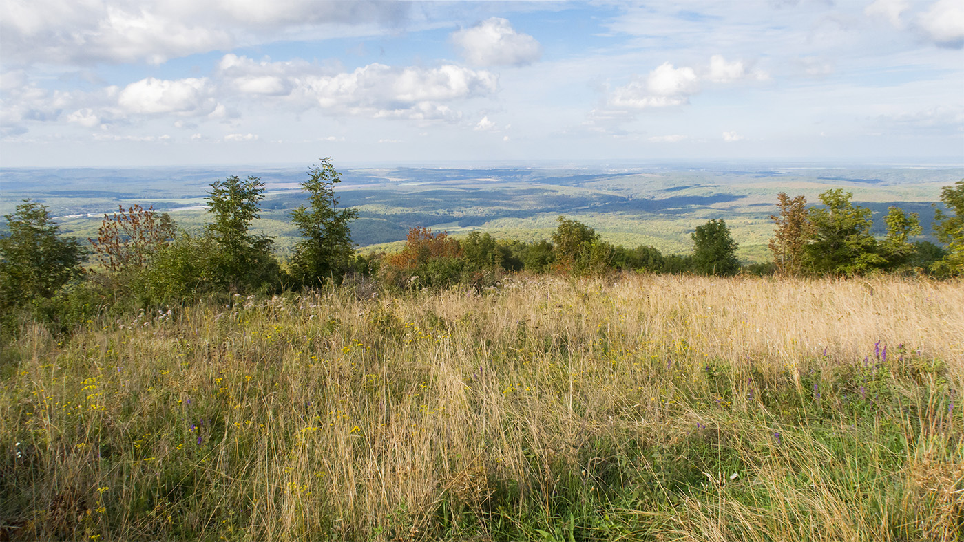 Шпиль, image of landscape/habitat.